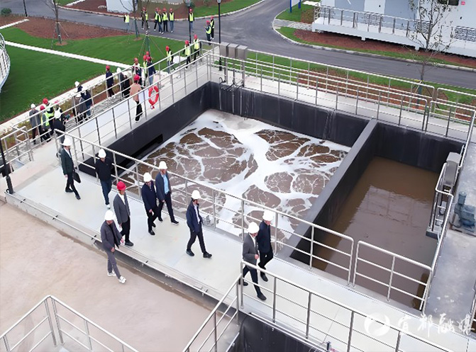 丰田村生猪养殖废水站实例